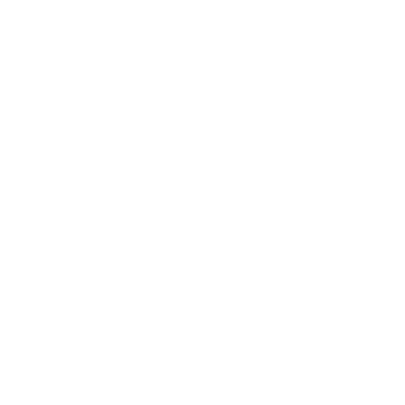 RS Global Media
